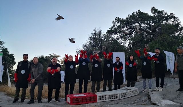 Burdur'da 200 çil keklik doğaya bırakıldı