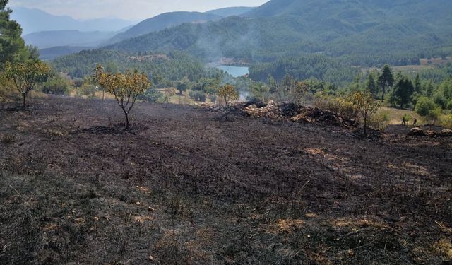 Burdur'da ormanlık alanda çıkan yangın söndürüldü