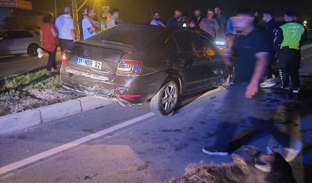Hatay'da büyükbaş hayvanlara çarpan otomobilin sürücüsü yaralandı