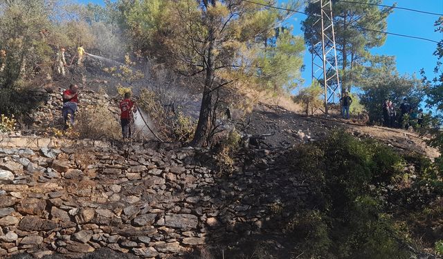 Mersin'de ormanlık alanda çıkan yangın söndürüldü