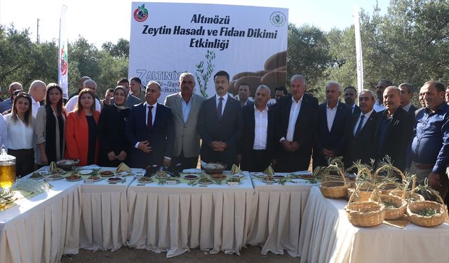 "7. Altınözü Zeytin, Zeytinyağı ve Gastronomi Festivali" düzenlendi