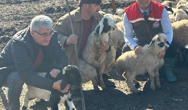 İl Müdürü Türkmen Kırıkhan’da