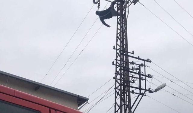 İntihar Etmek İstedi Elektrik Çarptı