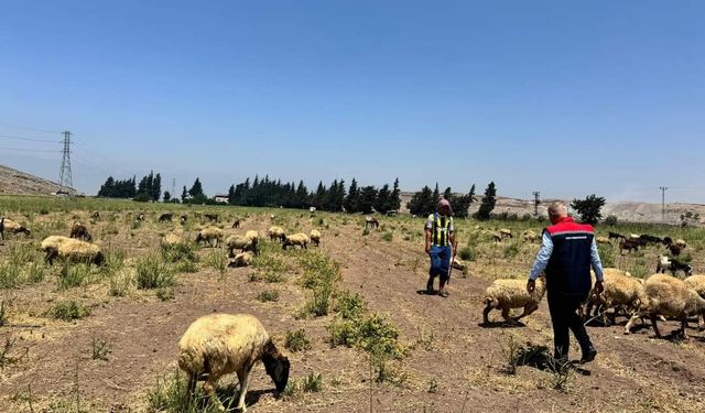 Müdür Türkmen, Üreticilerle Bir Araya Geldi