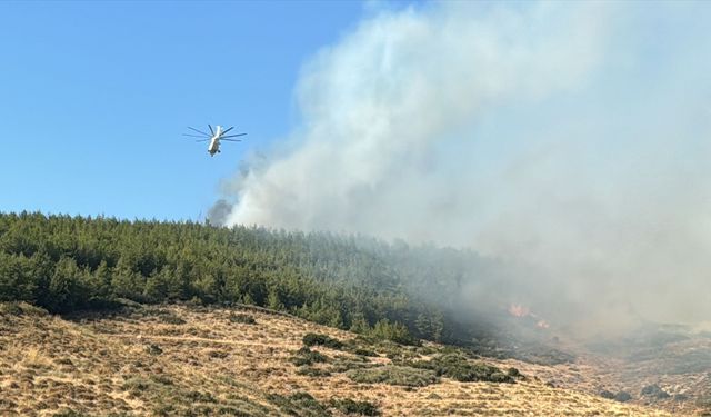 Hatay'da orman yangını çıktı