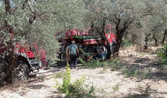 Zeytin Bahçesinde Çıkan Yangın Söndürüldü