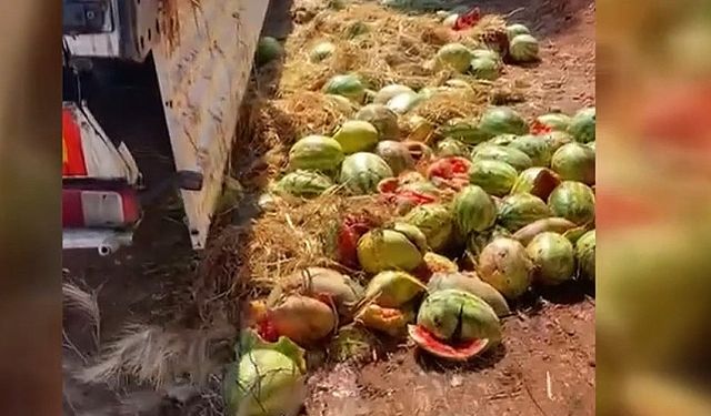 Çürük Karpuzları Yola Döken Kişi Cezadan Kaçamadı