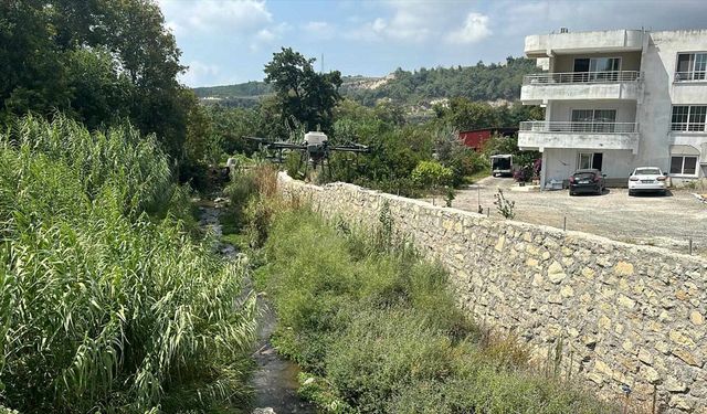 Haşereyle Mücadele Kapsamında Dronla İlaçlama Yapıldı