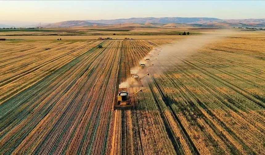 Çiftçilere Destek Ödemesi Hesaplara Aktarıldı