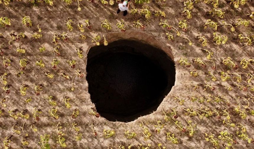 Ayçiçeği tarlasında 20 metre obruk oluştu