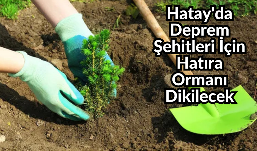 Hatay'da Deprem Şehitleri İçin Hatıra Ormanı Dikilecek