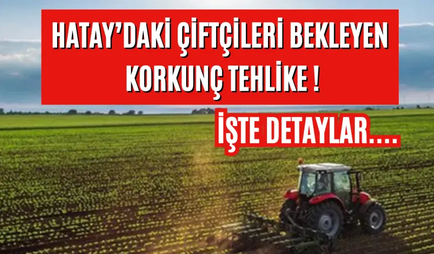 Hatay’daki Çiftçileri Bekleyen Korkunç Tehlike ! Detaylar Haberimizde...