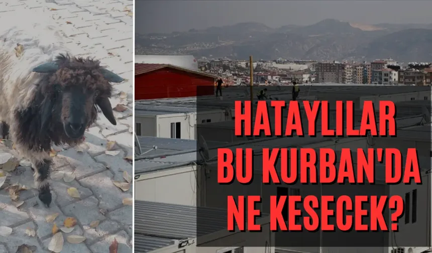 HATAYLILAR BU KURBAN'DA NE KESECEK?