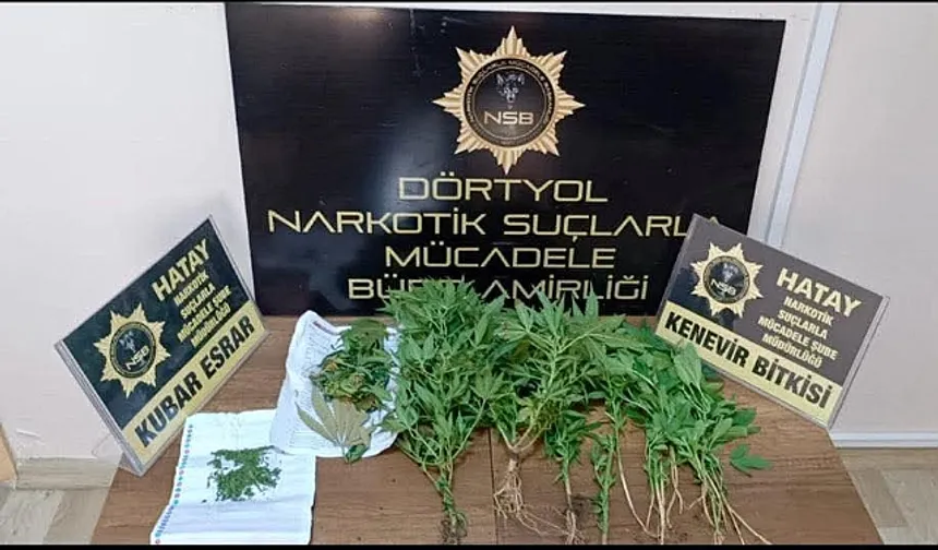 Hatay’da Uyuşturucu Operasyonu