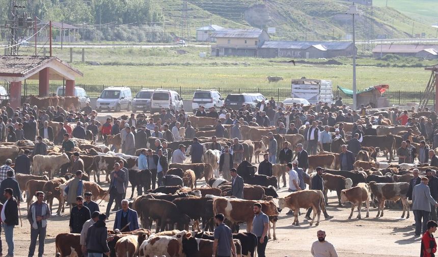 Hatay’da 2026 Kurbanlık Fiyatları Açıklandı