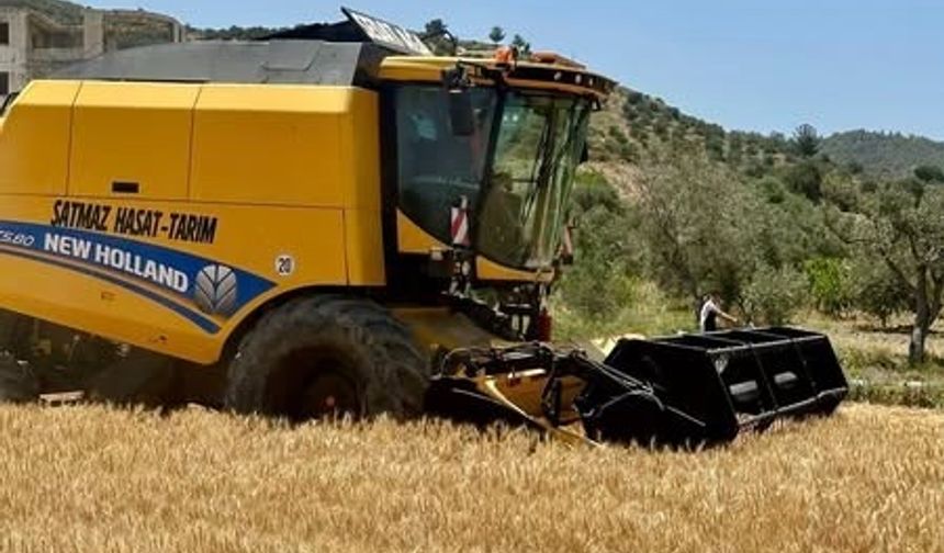 Hatay’da Buğday Hasadı Başladı