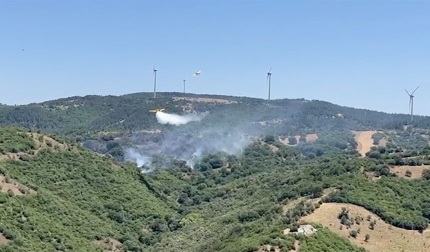 Balıkesir'de çıkan orman yangınına müdahale ediliyor