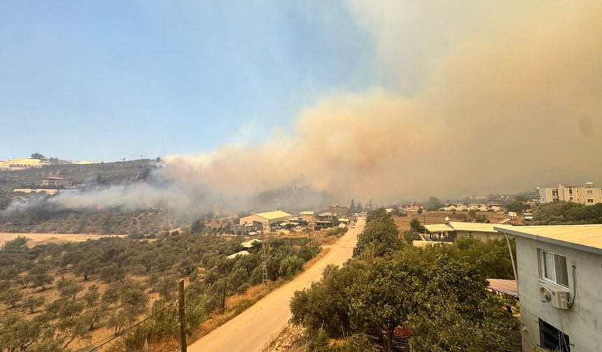Hatay'da ormanlık alanda yangın çıktı