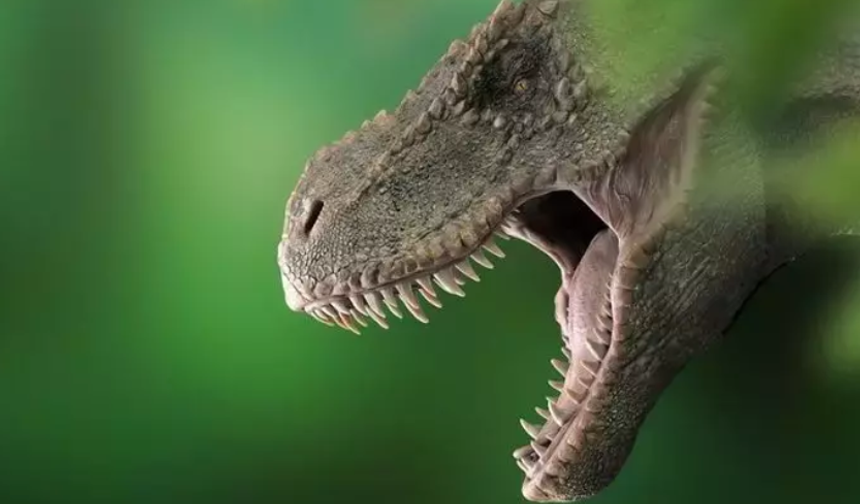86 Milyon Yıllık Dinozor Bulundu