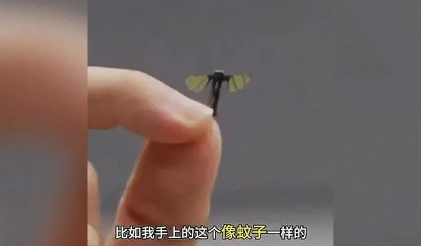 Dünya Bu Sineği Konuşuyor! Görenler İnanamadı