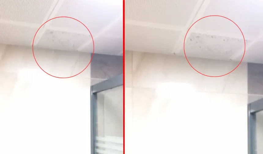 500 Konutlar’dan Skandal Görüntüler Gelmeye Devam Ediyor!