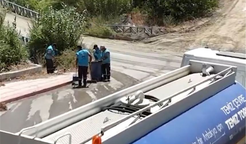 Antakya'da Yangının İzleri Siliniyor!