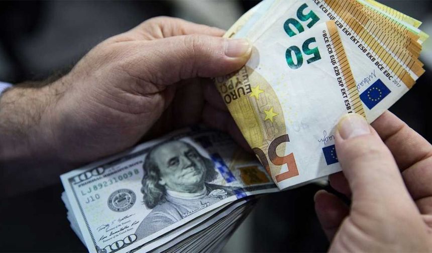 Dolar Ve Euro Bugün Ne Kadar?
