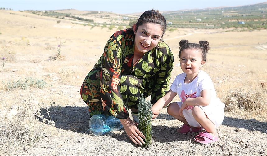 Şanlıurfalı gönüllü, 63 bin fidanı toprakla buluşturmaya hazırlanıyor