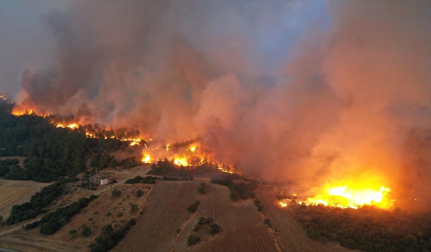 İhmal ve dikkatsizlikle çıkan orman yangınlarına karşı farkındalık bilinci önemli