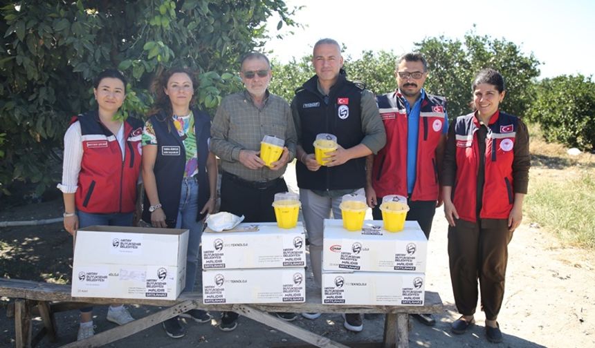 “Hatay’da Narenciyeye Kalkan: 26 Bin 500 Sinek Tuzağı Dağıtıldı”