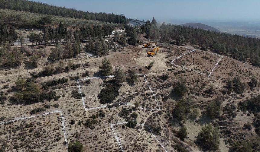 Hatay'da Modern Hayvan Barınağı Projesine Başladı