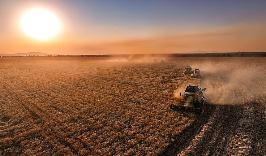 Tarım Sayımı Hatay’da Resmen Başladı