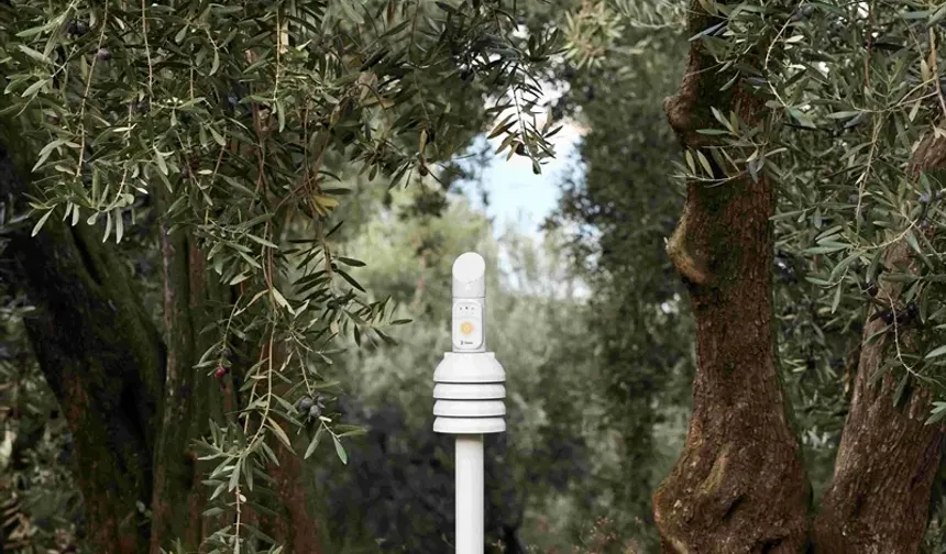 1000 Bereket Programı 7. Yılında