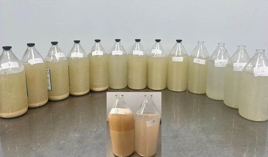 Akciğer yıkaması yöntemiyle hastalar yeniden rahat nefes alıyor