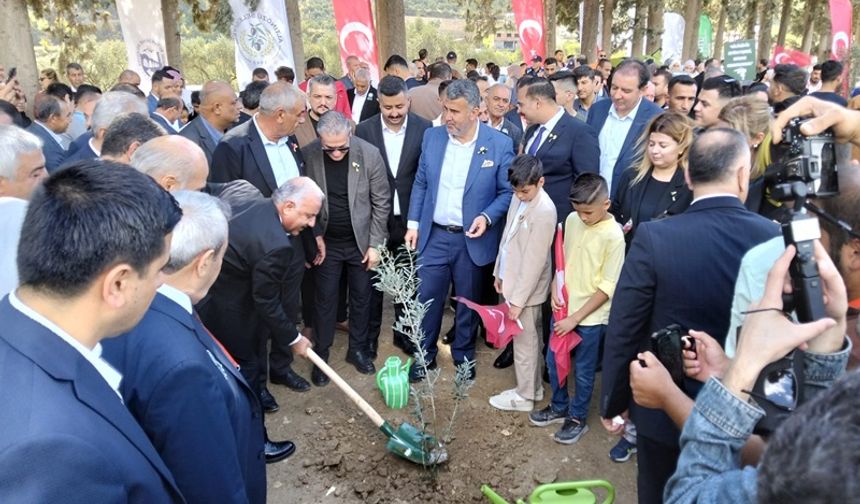 Altınözü Festivalinde Hasat Başladı, Yeni Fidanlar Toprakla Buluştu!