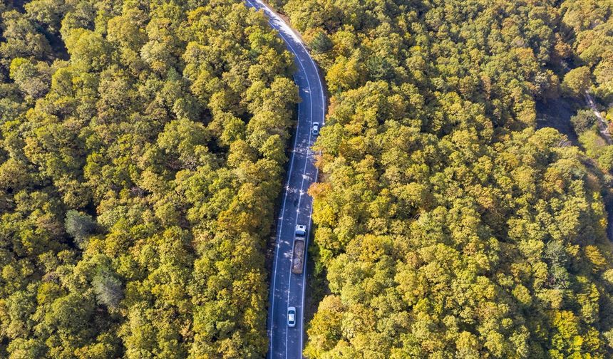Bolu'da ormanlık alanlar sonbahar renklerine büründü