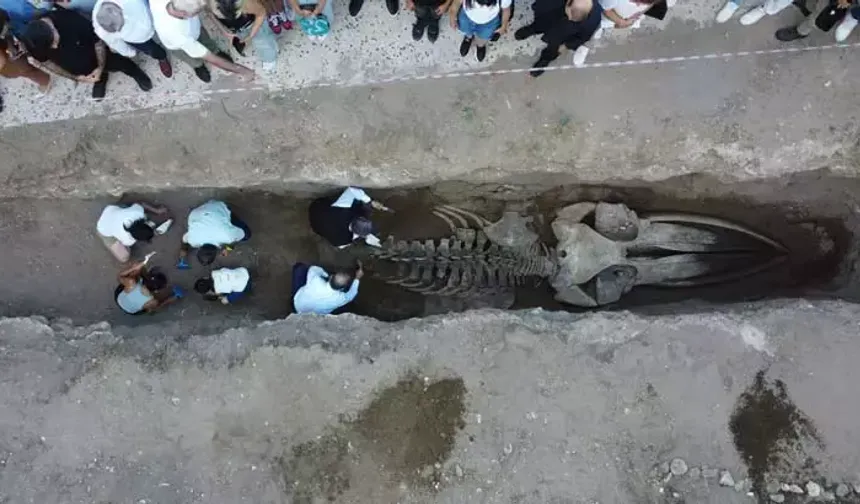 Mersin'de Tarihi Keşif! Sadece Kafatası 2 Metre