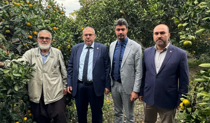 Hataylı Üretici Destek Bekliyor, Ürün Tarlada Kalıyor!