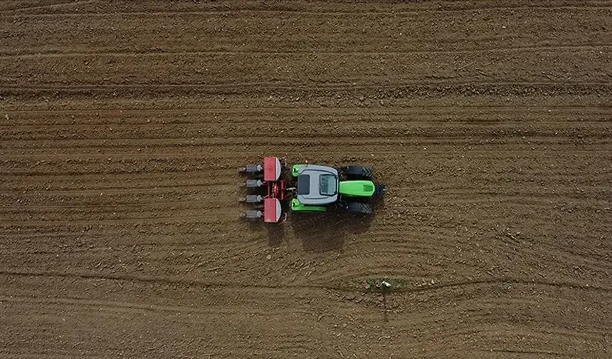 "Sebze Fiyatları Uçtu:Üreticide 5 Lira, Markette 25 Lira"