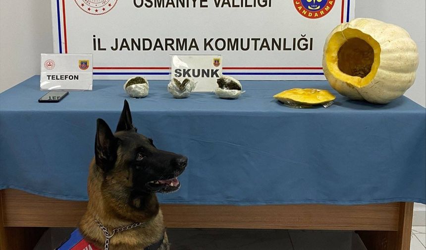 Osmaniye'de bal kabağının içine uyuşturucu gizleyen zanlı tutuklandı