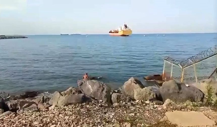 Gemiden Denize Düşen Angus Mucizevi Şekilde Kurtuldu !