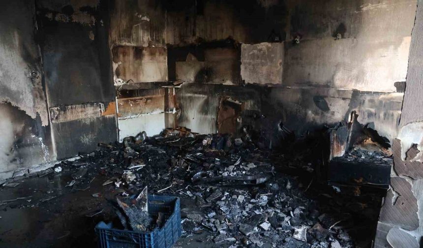 Ailecek gezmeye gitmişlerdi, eve geldiklerinde kullanılacak eşya kalmayan mutfakla karşılaştılar