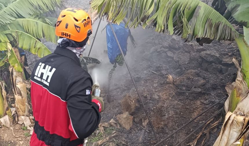 Antalya'da muz bahçelerinde yangın çıktı
