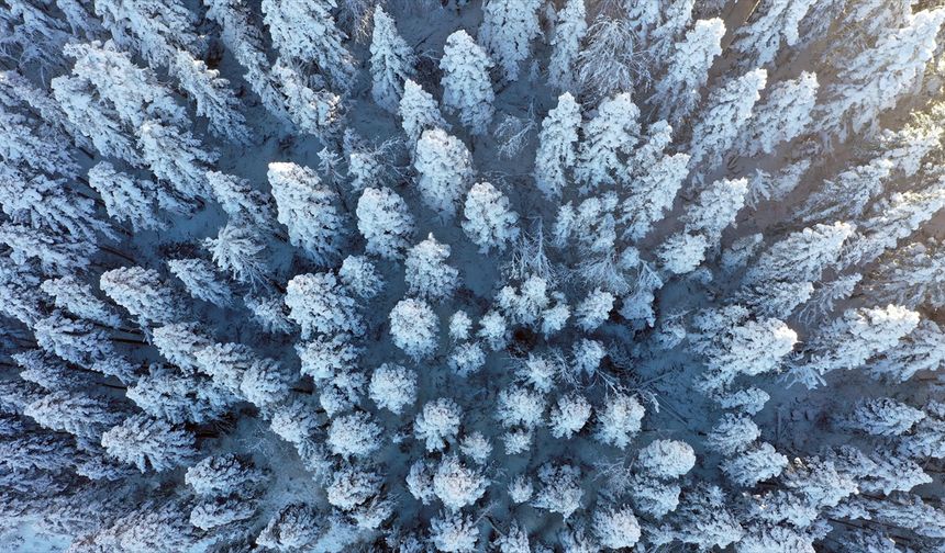 Beyaz örtüyle kaplanan Küre Dağları dron ile görüntülendi