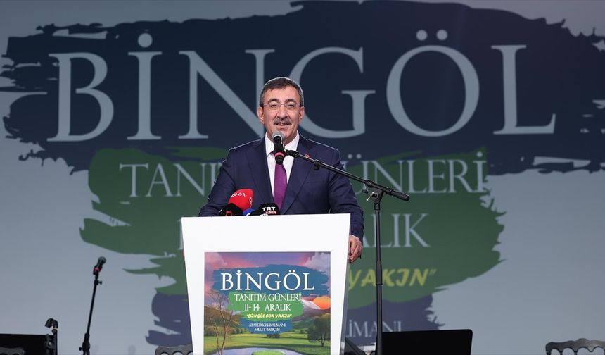 Cumhurbaşkanı Yardımcısı Yılmaz: Biz hem 'Terörsüz Türkiye' hem 'Terörsüz Bölge' diyoruz