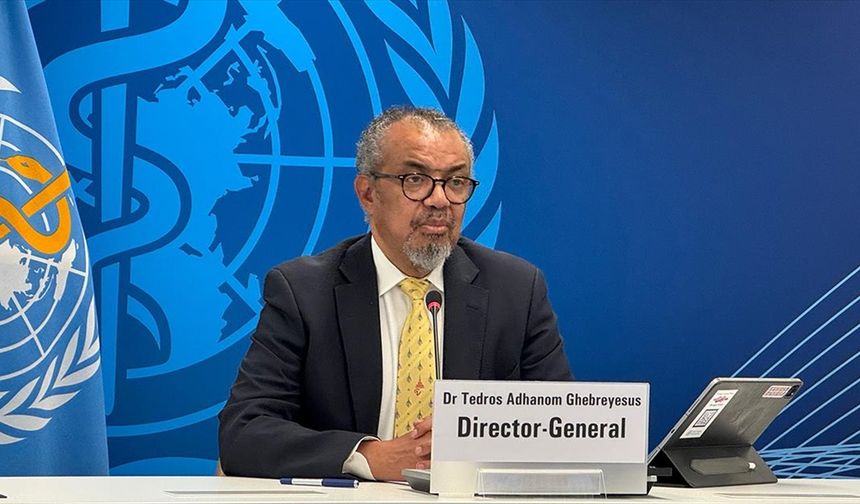 DSÖ, mutasyona uğramış H3N2 virüsünde yaşanan artış konusunda uyarıda bulundu