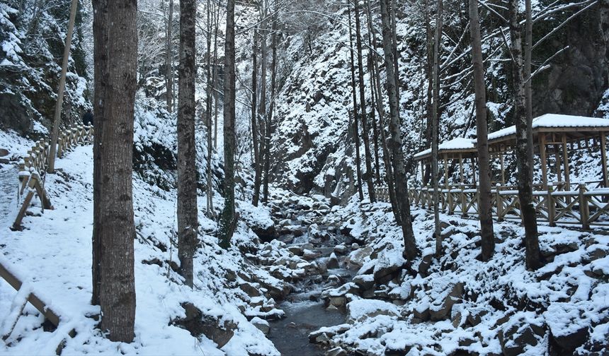 Gümüşhane'deki Çağlayandibi Şelalesi Tabiat Parkı beyaza büründü