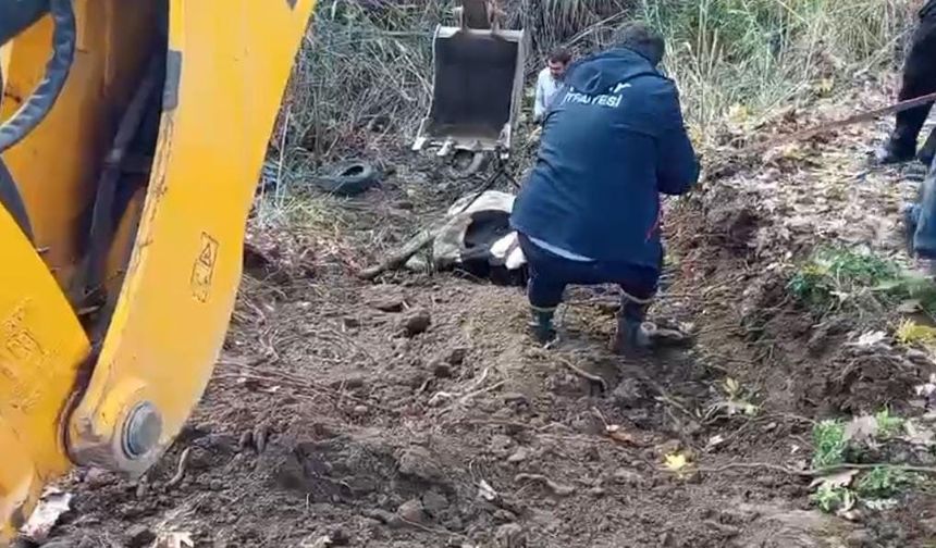 Hatay’da dereye düşen inek itfaiye ekipleri tarafından kurtarıldı