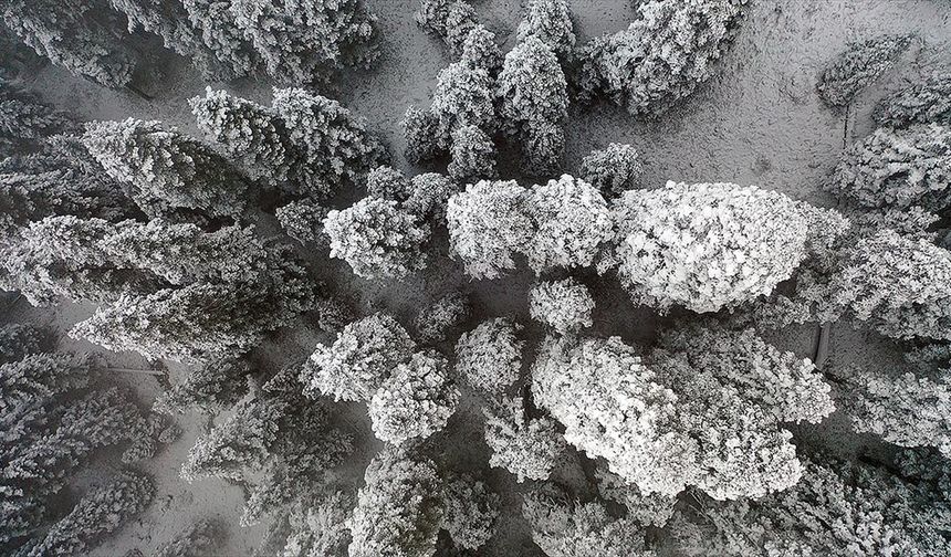 Ilgaz Dağı'nda kar ve sis etkili oldu