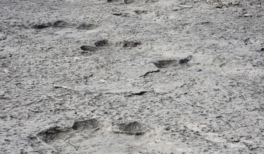 İtalya'da 200 milyon yıl öncesinden kaldığı düşünülen binlerce dinozor ayak izi keşfedildi